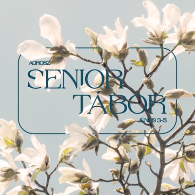 Senior tábor 65 év felettieknek