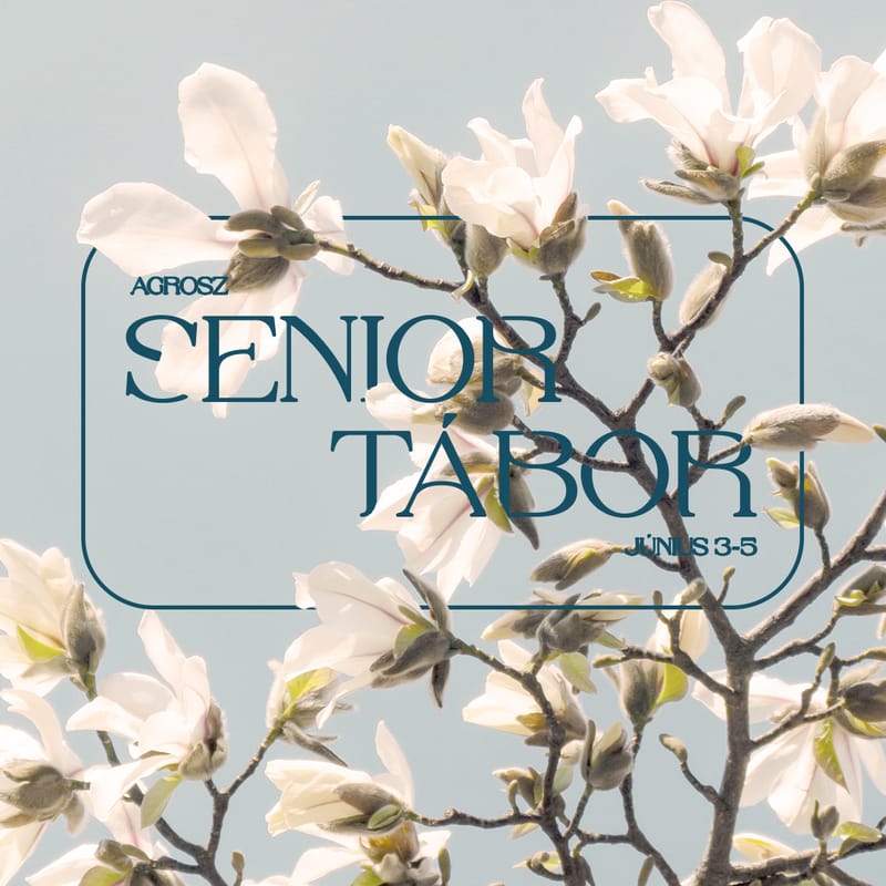 Senior tábor 65 év felettieknek